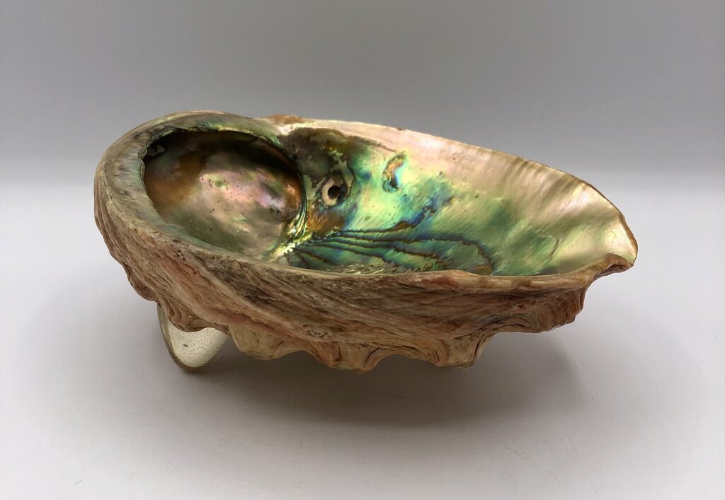 Vtg Lucite Footed Abalone Shell Trinket Dish /b