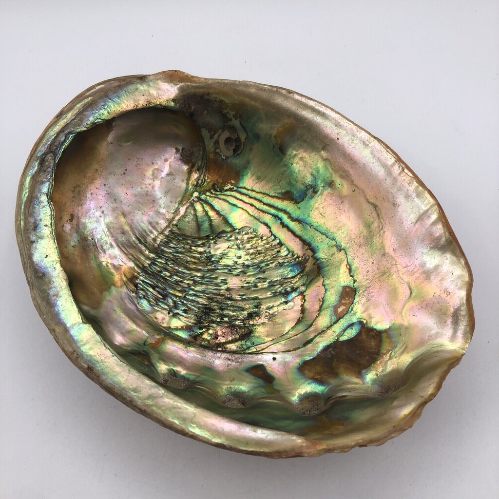 Vtg Lucite Footed Abalone Shell Trinket Dish /b