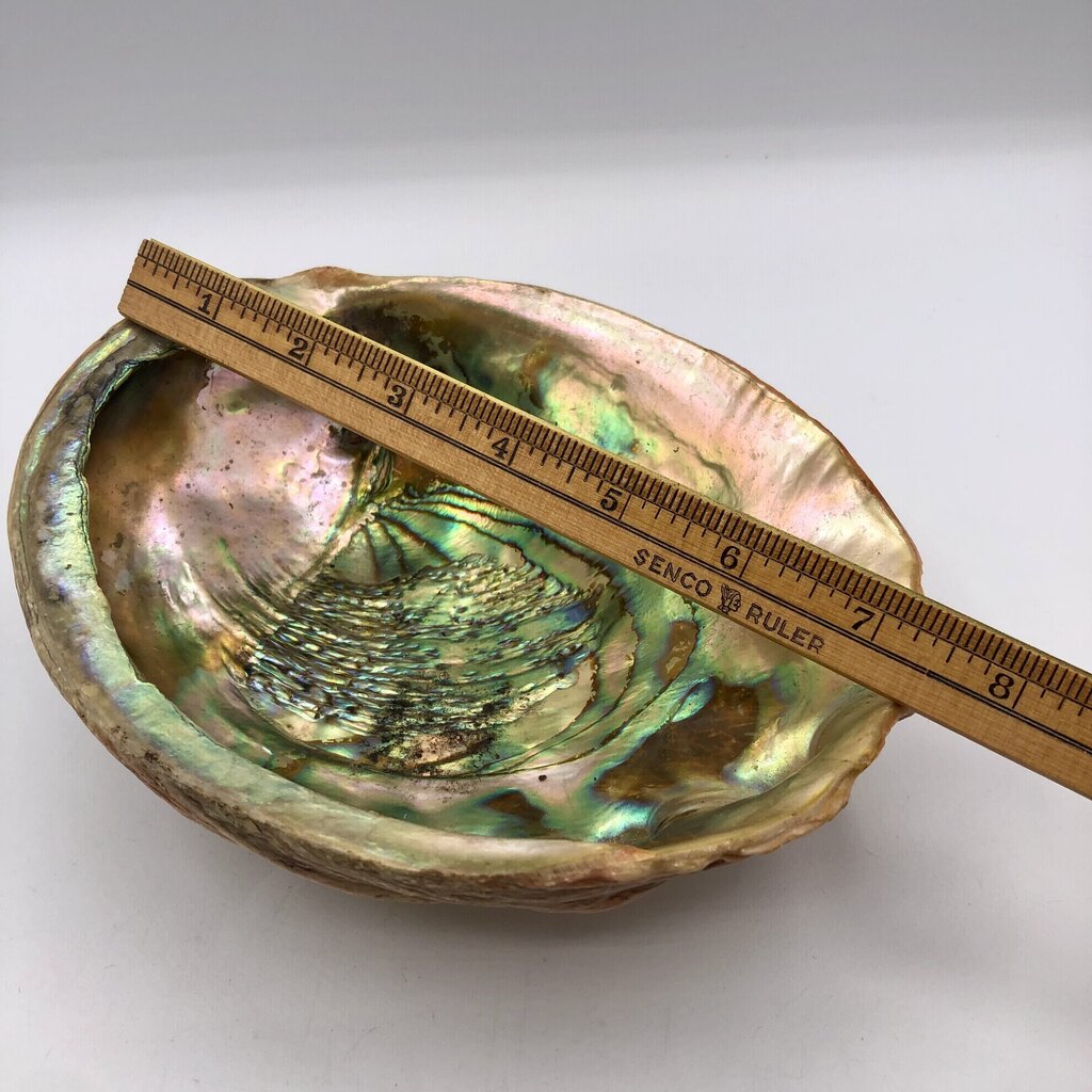 Vtg Lucite Footed Abalone Shell Trinket Dish /b