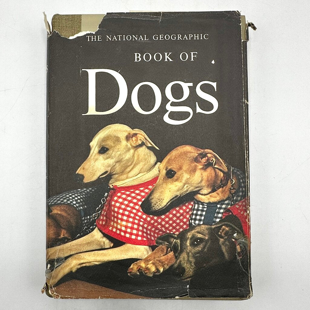 The National Geographic Book Of Dogs Hardcover 1958 /cb