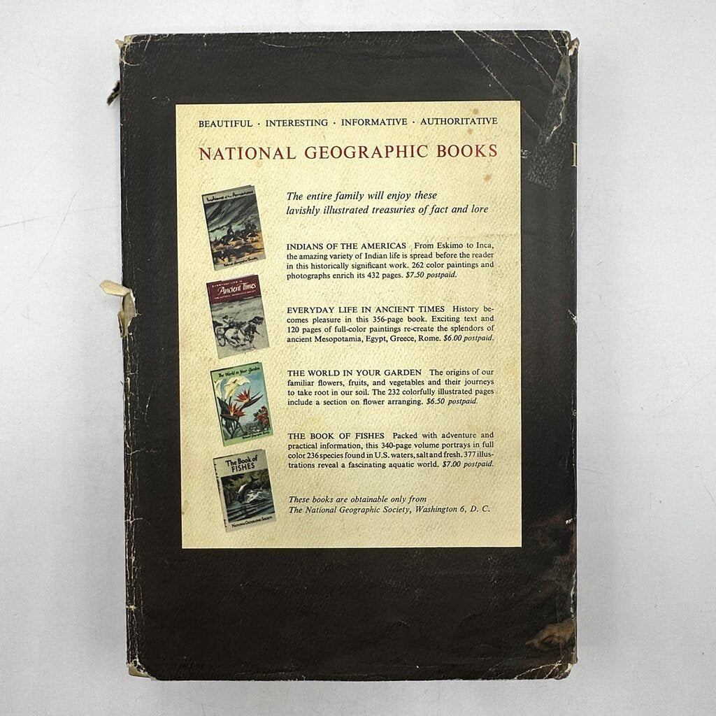 The National Geographic Book Of Dogs Hardcover 1958 /cb