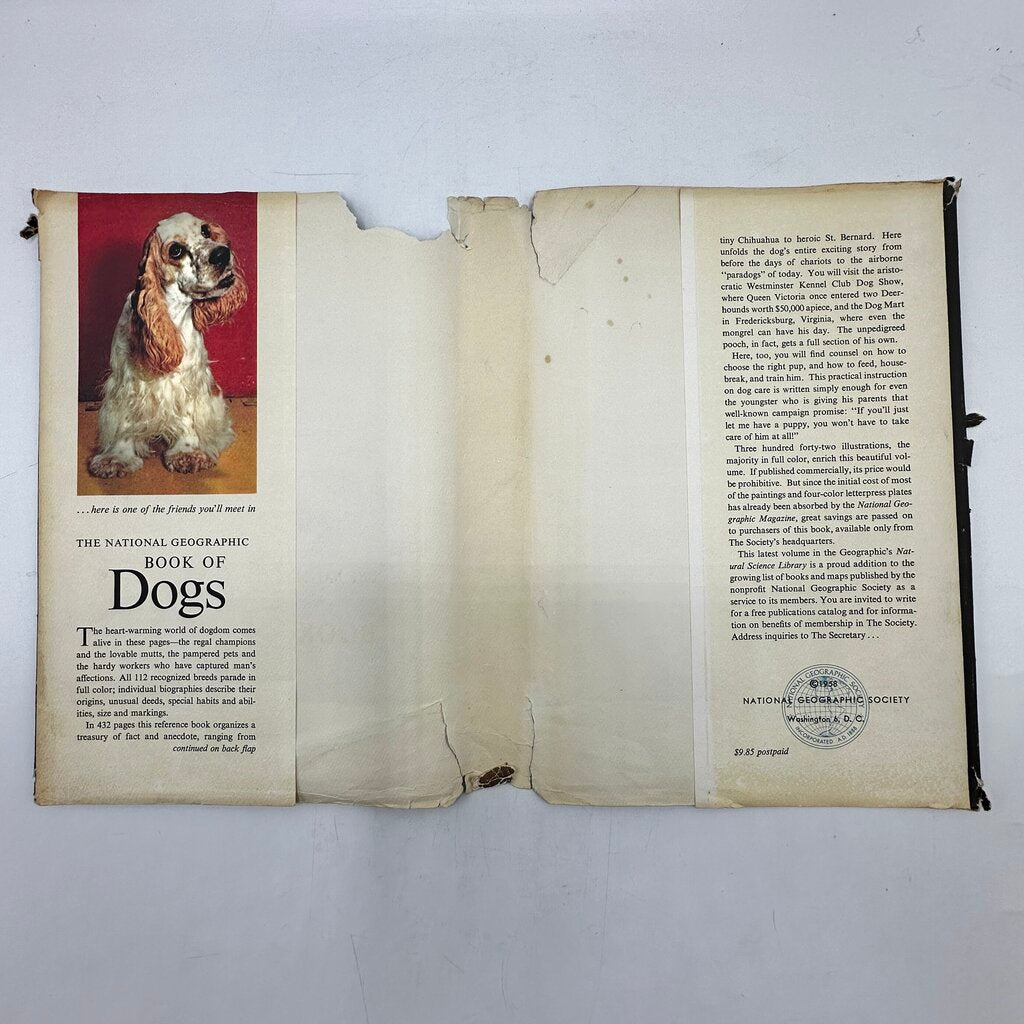 The National Geographic Book Of Dogs Hardcover 1958 /cb