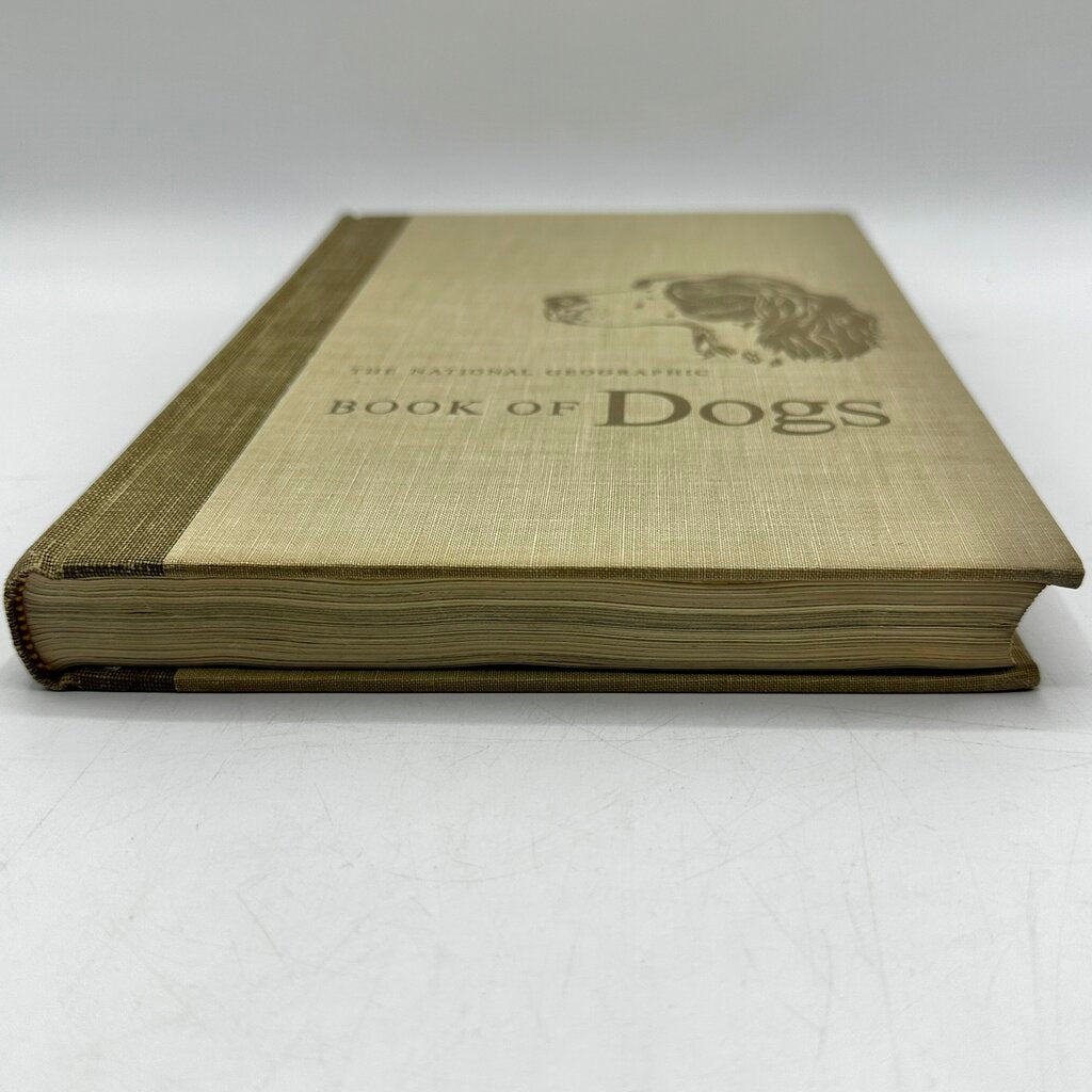 The National Geographic Book Of Dogs Hardcover 1958 /cb