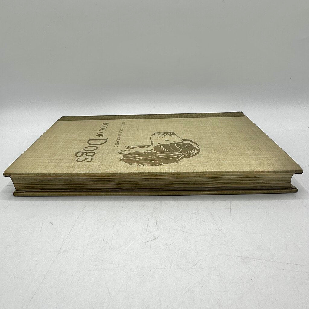 The National Geographic Book Of Dogs Hardcover 1958 /cb