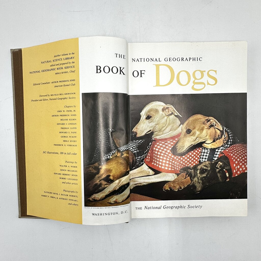 The National Geographic Book Of Dogs Hardcover 1958 /cb