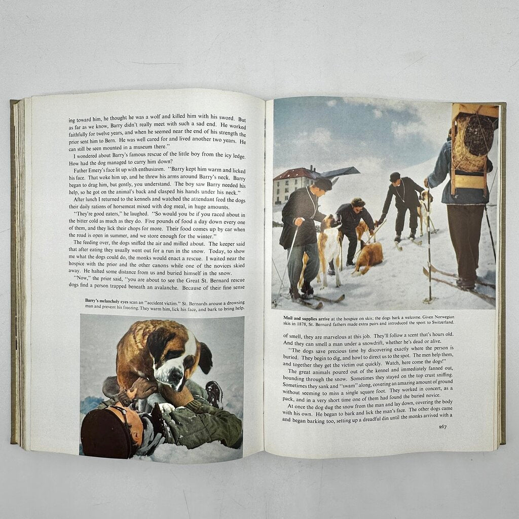 The National Geographic Book Of Dogs Hardcover 1958 /cb