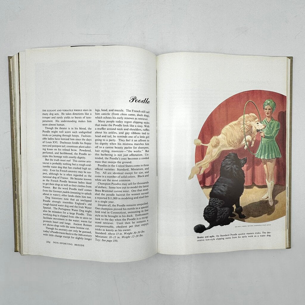 The National Geographic Book Of Dogs Hardcover 1958 /cb