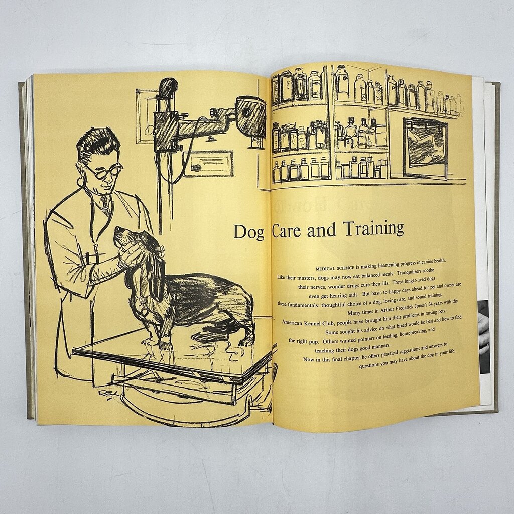 The National Geographic Book Of Dogs Hardcover 1958 /cb