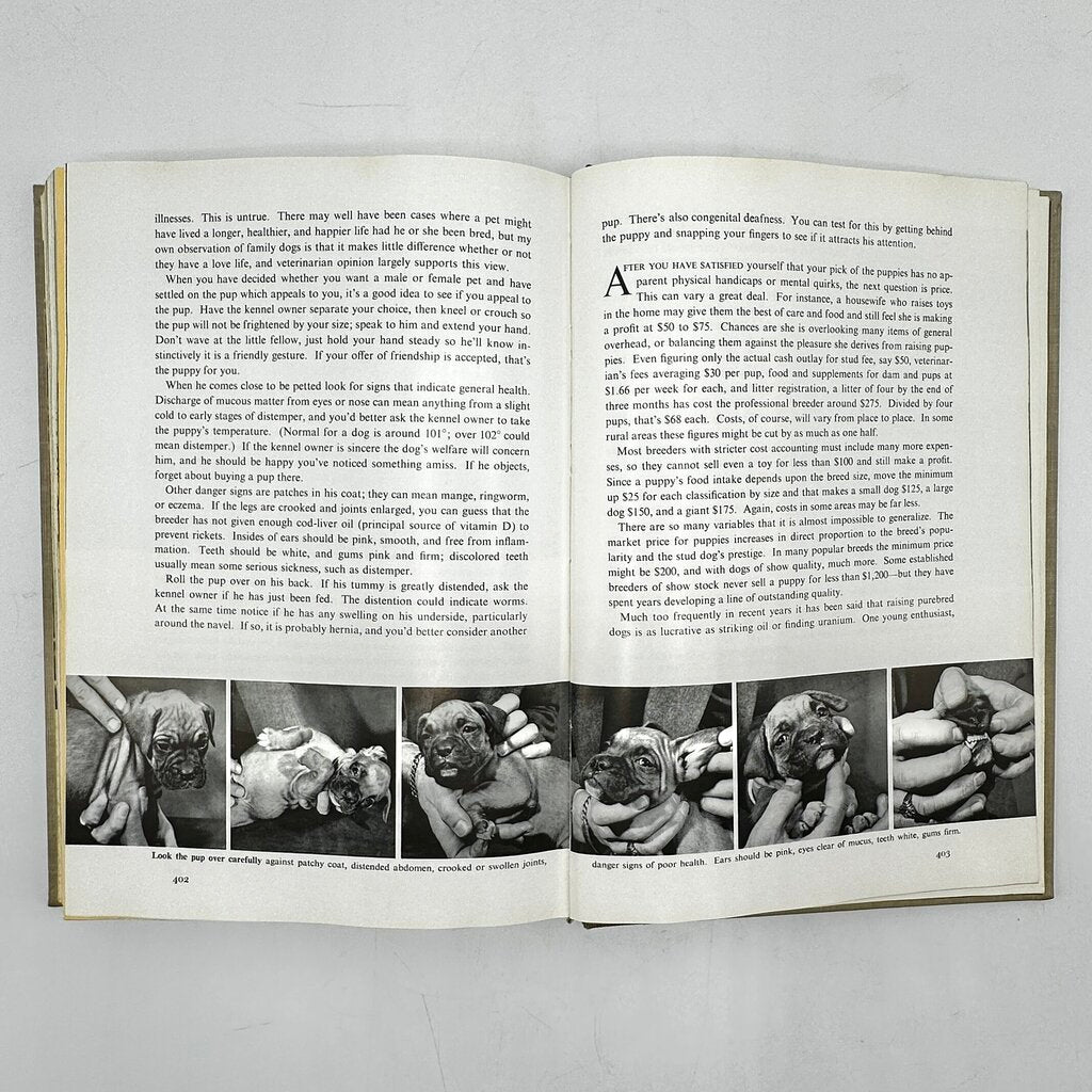 The National Geographic Book Of Dogs Hardcover 1958 /cb
