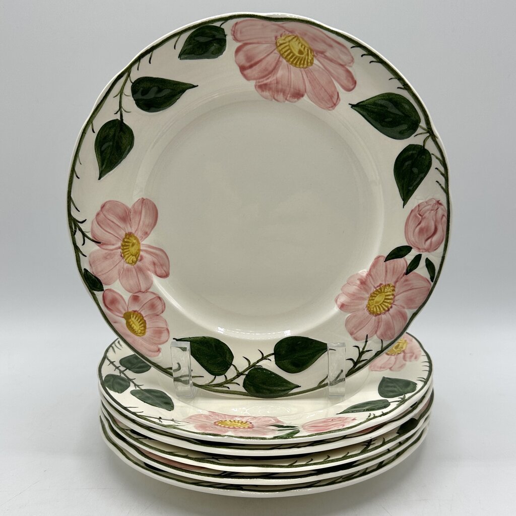 Set of 6 Vintage Villeroy & Boch Wild Rose 8 1/4” Salad Plates Made in Germany /cb