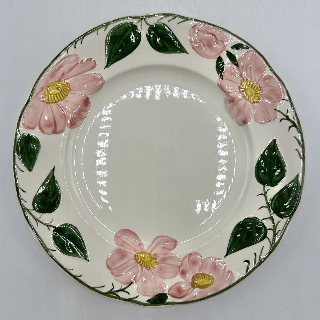Set of 6 Vintage Villeroy & Boch Wild Rose 8 1/4” Salad Plates Made in Germany /cb