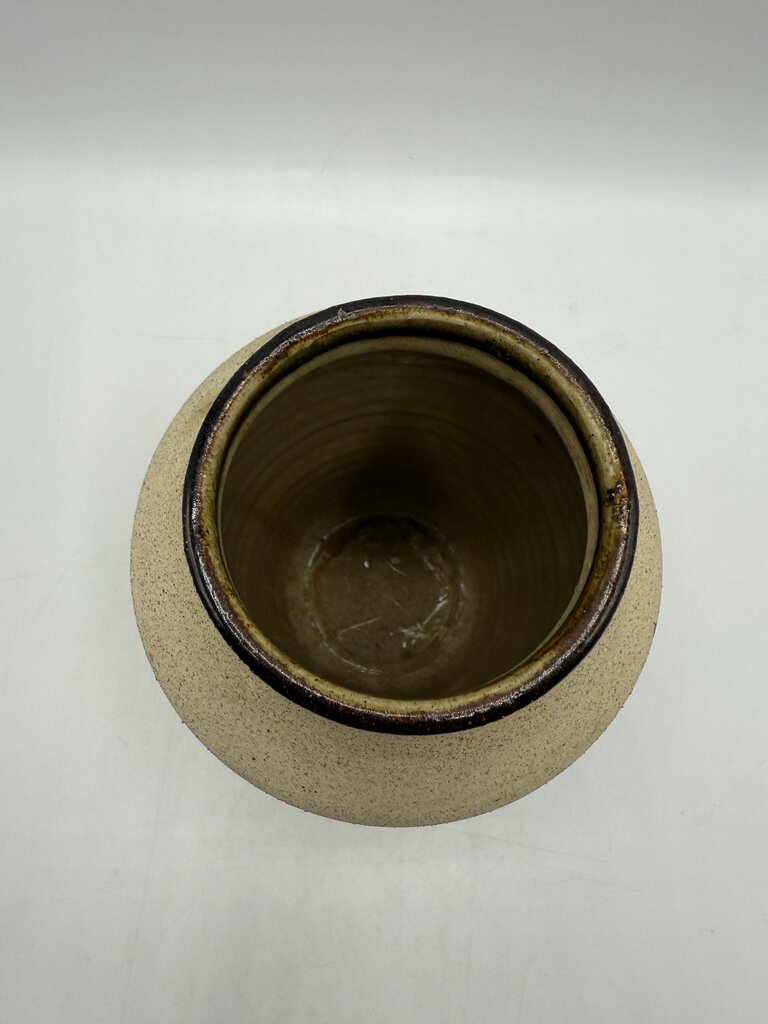 Tonala Mexico Pottery Vase Bird/Floral 8” tall /ro