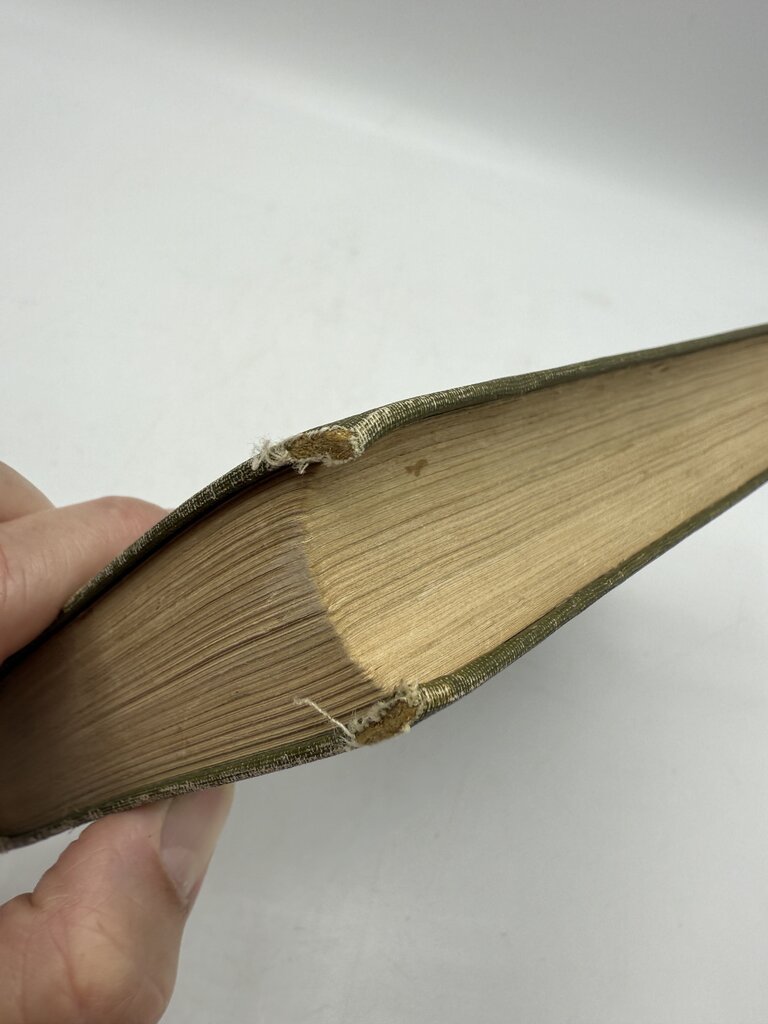 1901 Hard Cover Book “When Knighthood Was In FlowerPower” by Edwin Caskoden /rb