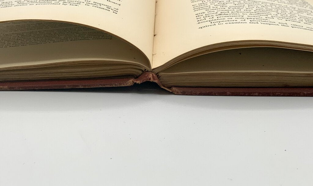 Ah/ Government of Michigan by Charles R. Brown 1874