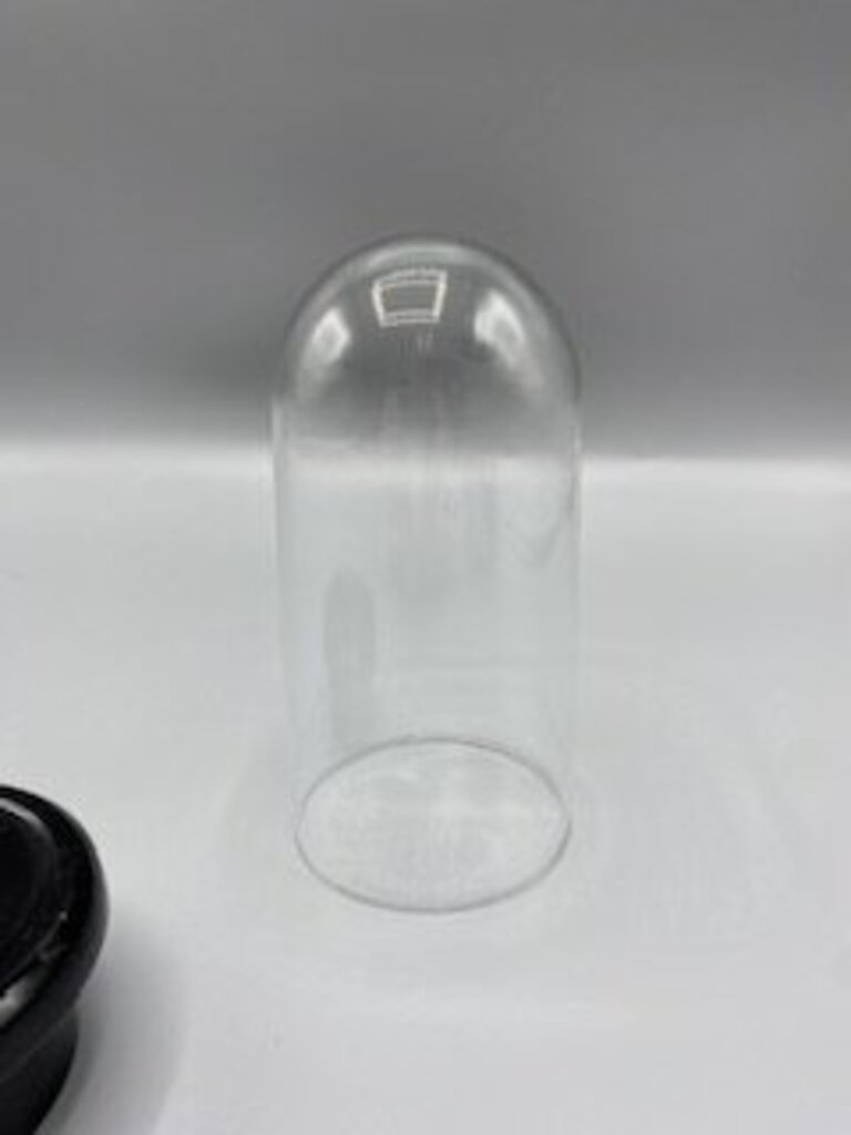 Antique Glass Dome CloChe 5.5” tall with Black Glass Base /ro