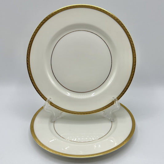 Set Of 2 Vintage Theodore Haviland New York Madison 8 5/8 inch Luncheon Plates /cb