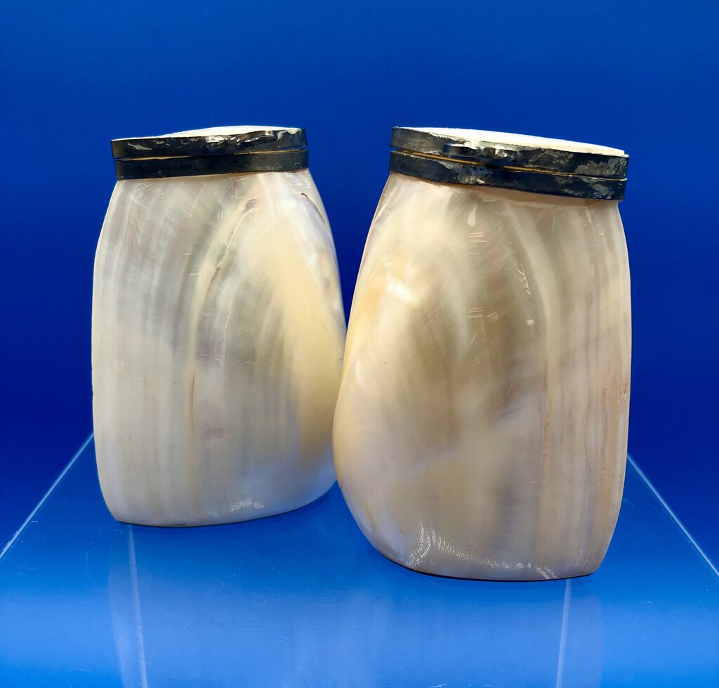 Vintage Mother of Pearl Abalone Salt & Pepper Shakers /b