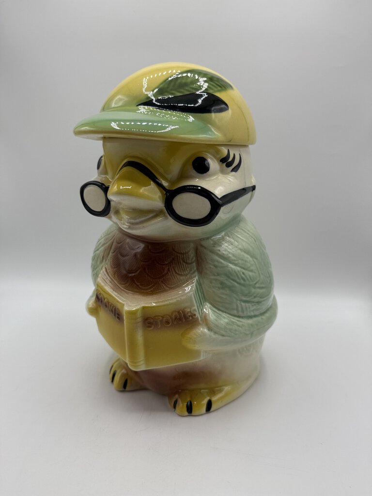 VTG Wise Owl Bird Cookie Stories Jar #359 Robinson Ransbottom Pottery Roseville /rw