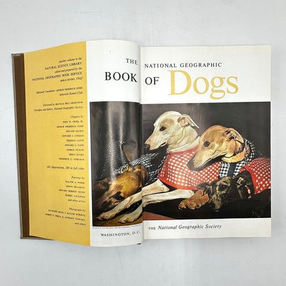The National Geographic Book Of Dogs Hardcover 1958 /cb