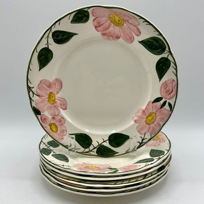 Set of 6 Vintage Villeroy & Boch Wild Rose 8 1/4” Salad Plates Made in Germany /cb