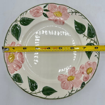 Set of 6 Vintage Villeroy & Boch Wild Rose 8 1/4” Salad Plates Made in Germany /cb
