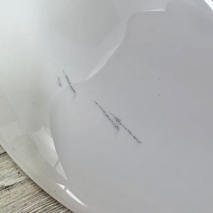 Set Of 4 Fortessa Large 12” Individual Pasta Bowls White Bone China /cb