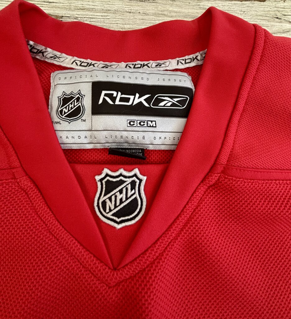 Vtg. Redwings Fan Jersey Reebok Sz. L /j