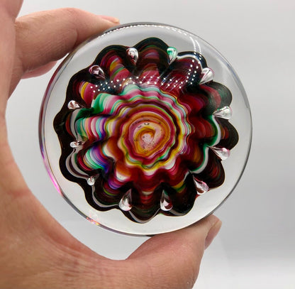 Vtg Artisan Blown Glass Crimped Ribbon/ Urchin Paperweight /b