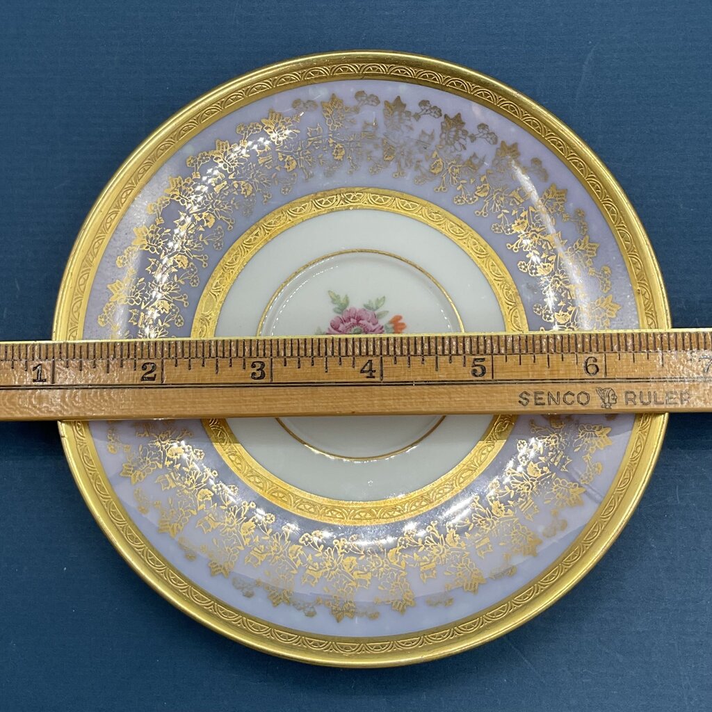 Intricate Antique Wheeling Decorating Company Floral and Gold Gilt Glass China Teacup and Saucer /f