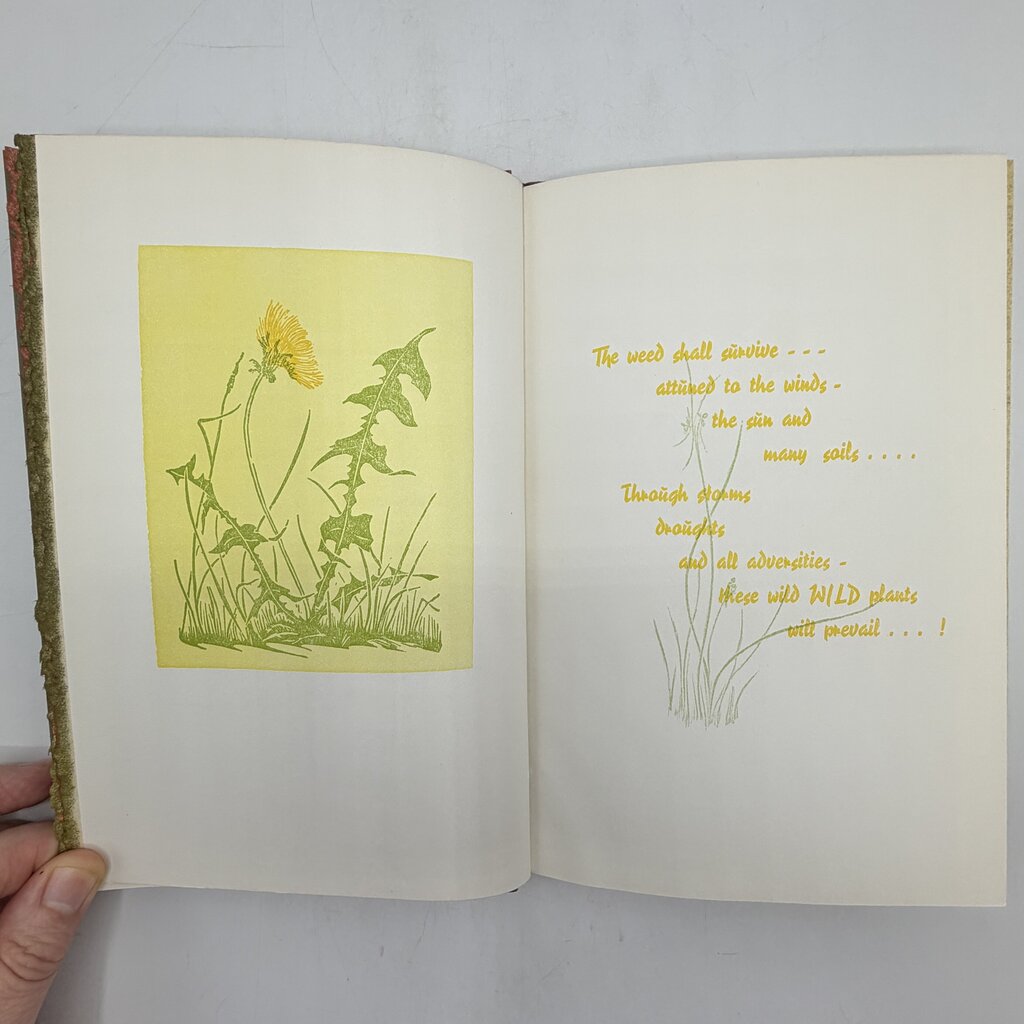 Gwen Frostic “Beyond Time” 1971 Hardcover Book Signed First Edition Michigan Nature Art & Poetry /cb