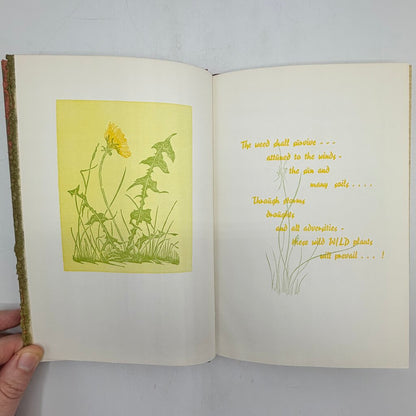 Gwen Frostic “Beyond Time” 1971 Hardcover Book Signed First Edition Michigan Nature Art & Poetry /cb