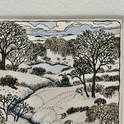 1987 Susan Hunt Wulkowicz Snowy Creek Hand Colored Etching 70/300 Signed /b