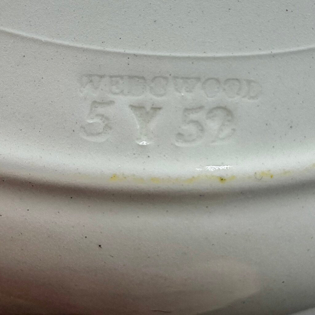 Vintage Wedgwood Albion College Observatory First Edition 10 3/8” Commemorative Plate Pink Transferware /cb