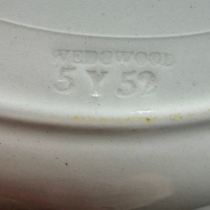 Vintage Wedgwood Albion College Observatory First Edition 10 3/8” Commemorative Plate Pink Transferware /cb