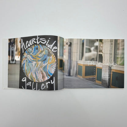 An Irregular Heartbeat Artists of Heartside Gallery & Studio Hardcover Book 2013 /cb