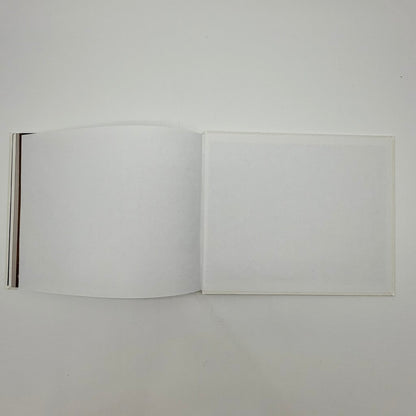 An Irregular Heartbeat Artists of Heartside Gallery & Studio Hardcover Book 2013 /cb