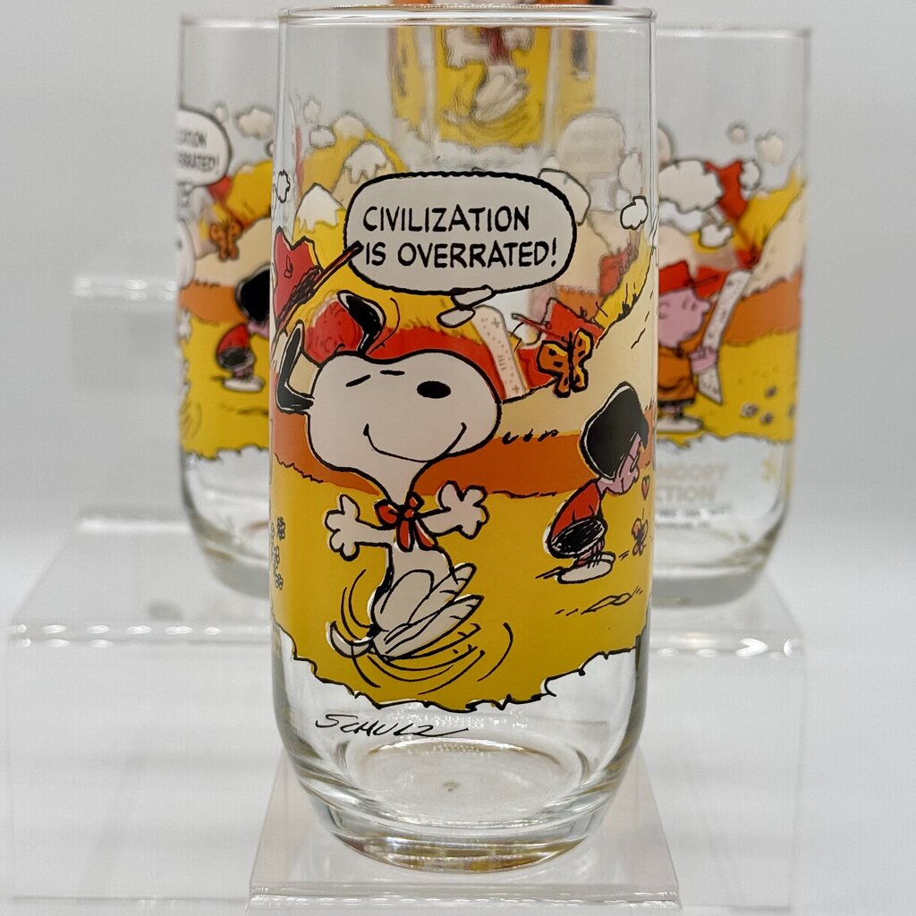 Set of 5 Vintage Peanuts Camp Snoopy Collection McDonald’s Release Drinking Glasses /hy