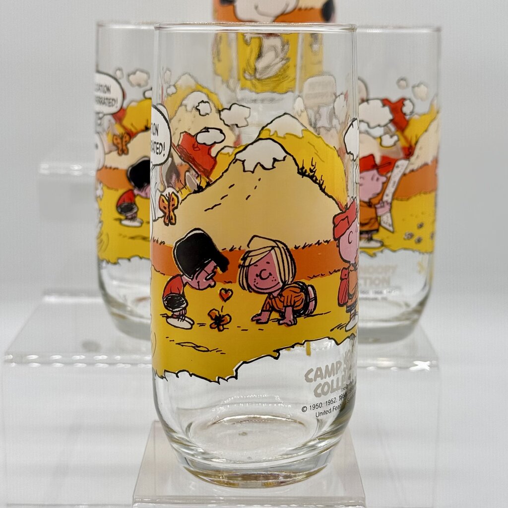 Set of 5 Vintage Peanuts Camp Snoopy Collection McDonald’s Release Drinking Glasses /hy