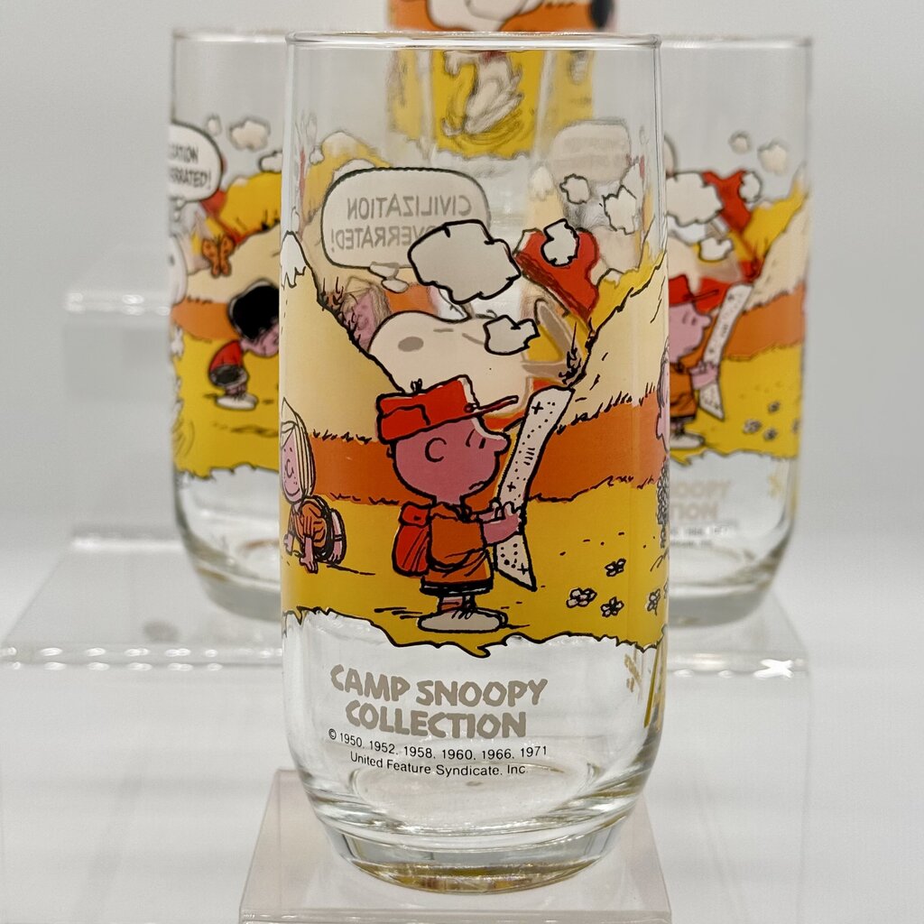 Set of 5 Vintage Peanuts Camp Snoopy Collection McDonald’s Release Drinking Glasses /hy