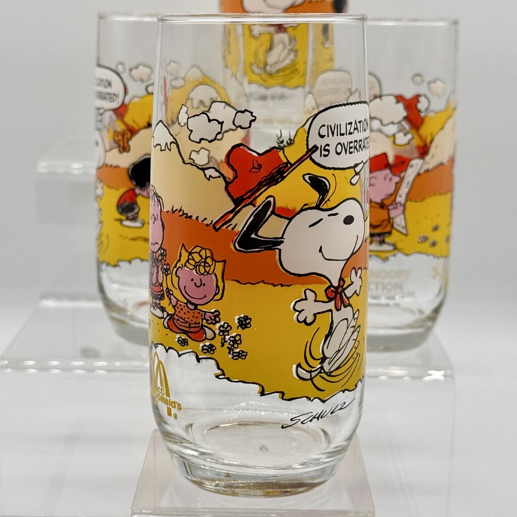 Set of 5 Vintage Peanuts Camp Snoopy Collection McDonald’s Release Drinking Glasses /hy