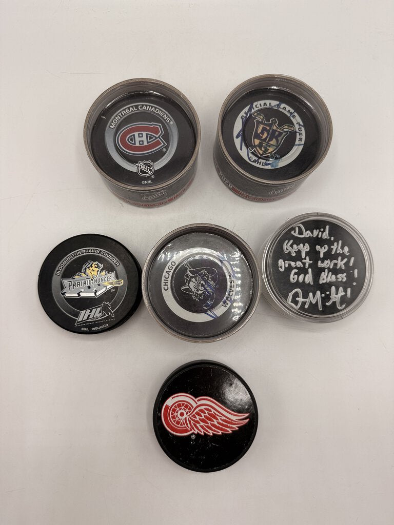 Set of 6 Collectable Hockey Pucks NHL IHL /rb