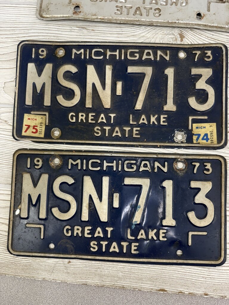 VTG Lot of 10 Michigan License Plate 1965 -1979 /ro