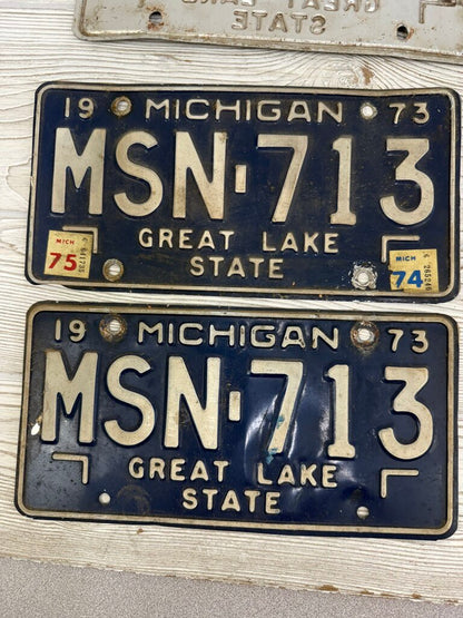 VTG Lot of 10 Michigan License Plate 1965 -1979 /ro