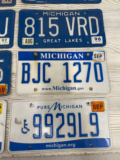 Michigan License Plates Lot of 10 Great Lakes 1985-2023 /roh