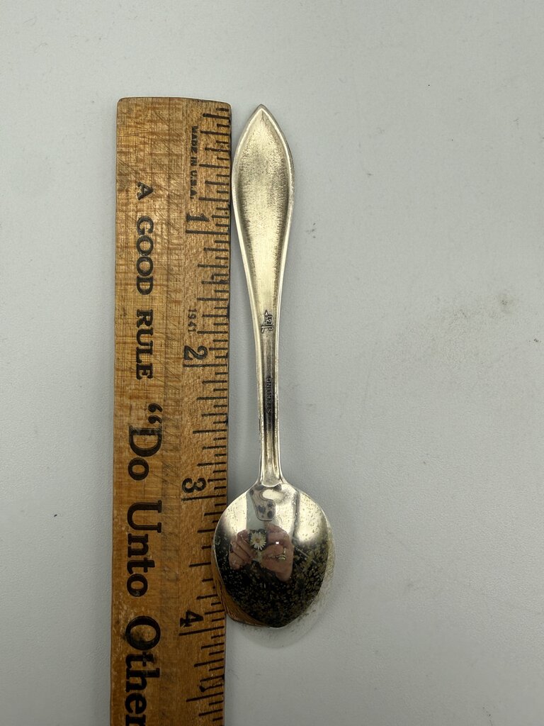 VTG Sterling Silver Souvenir Spoon Garden of the Gods /ro