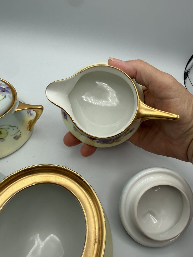 Antique Z.S. & Co. Bavaria Porcelain 5 pc. Tea Set Violets /ro