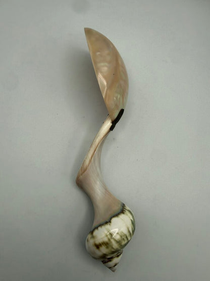 Victorian Welk Sea Shell Caviar Serving Spoon /ro