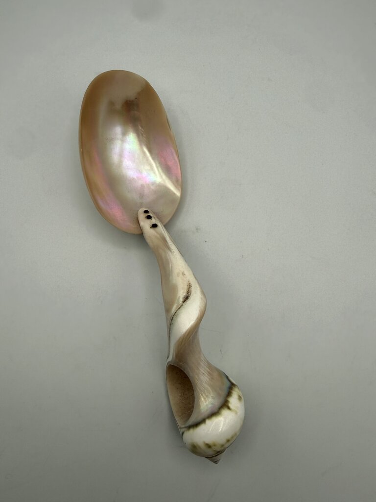 Victorian Welk Sea Shell Caviar Serving Spoon /ro