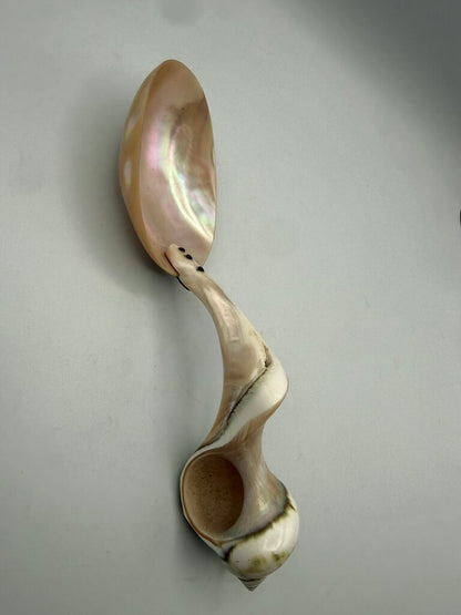 Victorian Welk Sea Shell Caviar Serving Spoon /ro