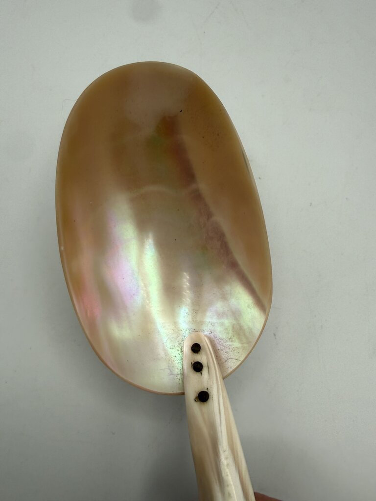 Victorian Welk Sea Shell Caviar Serving Spoon /ro